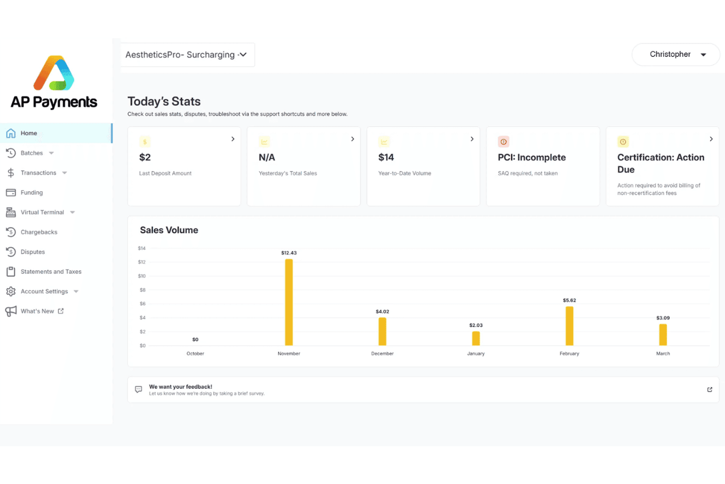 AP Payments dashboard showing sales stats, PCI status, and monthly sales volume chart.