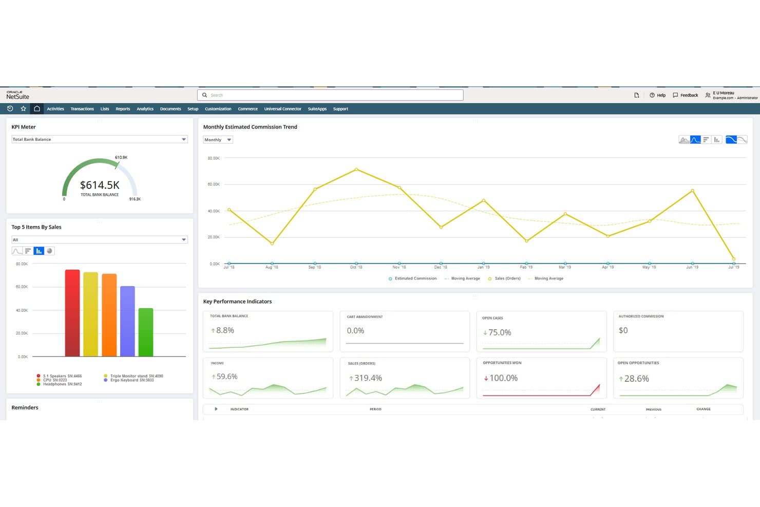 Oracle NetSuite dashboard showing KPI meter, top 5 sales items bar chart, and monthly commission trend line chart.