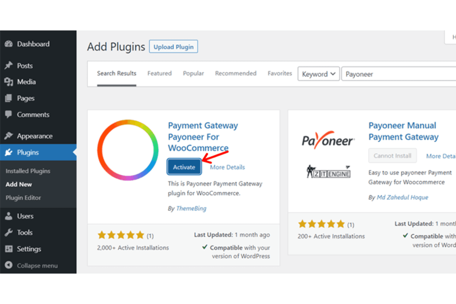 Payoneer screenshot