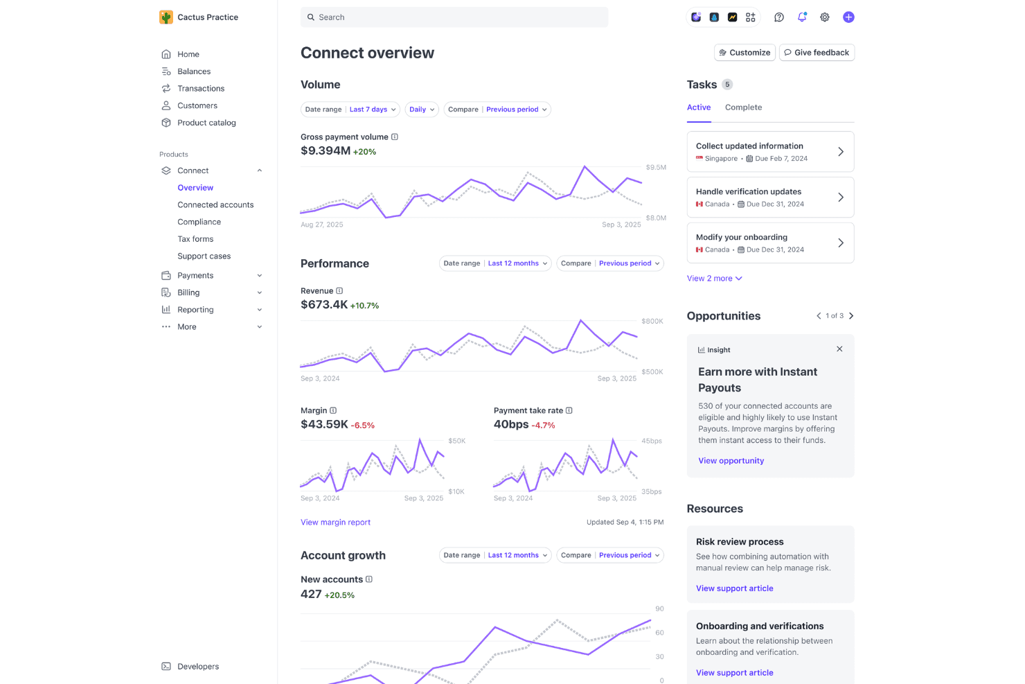 Stripe screenshot