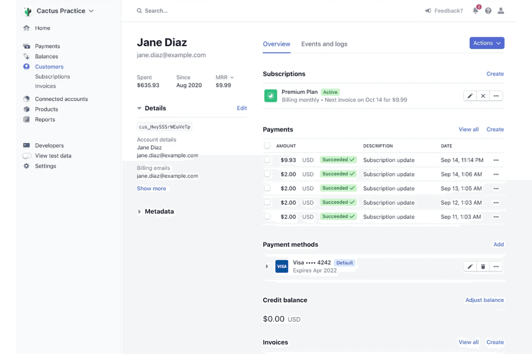 Stripe processes online payments via APIs, handling checkout and billing.