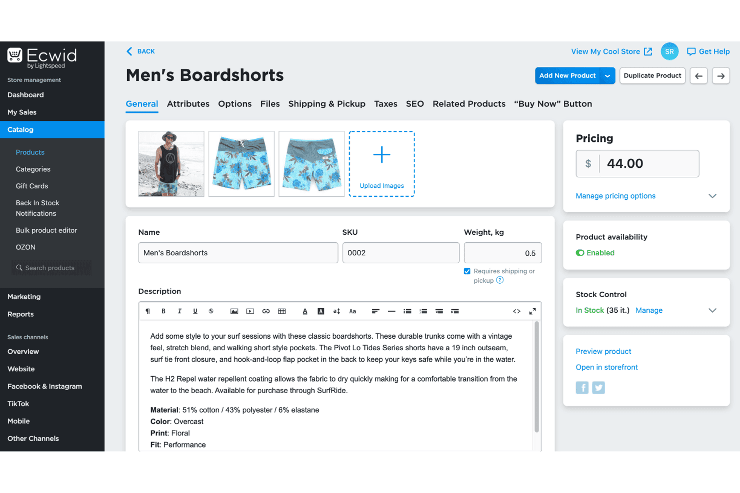 Ecwid product management dashboard