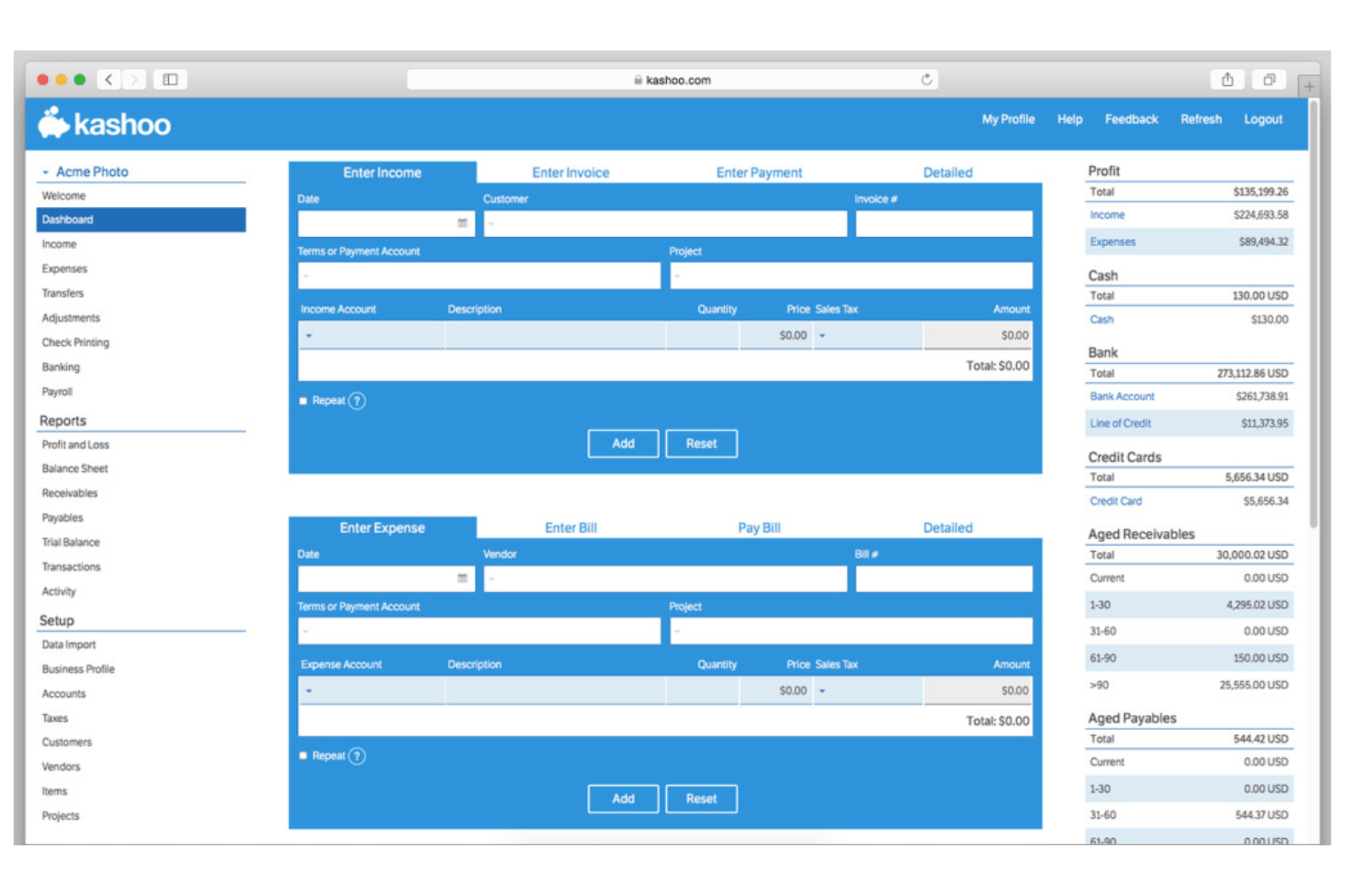 Kashoo screenshot - 10 Mejores Alternativas a QuickBooks Online para 2026