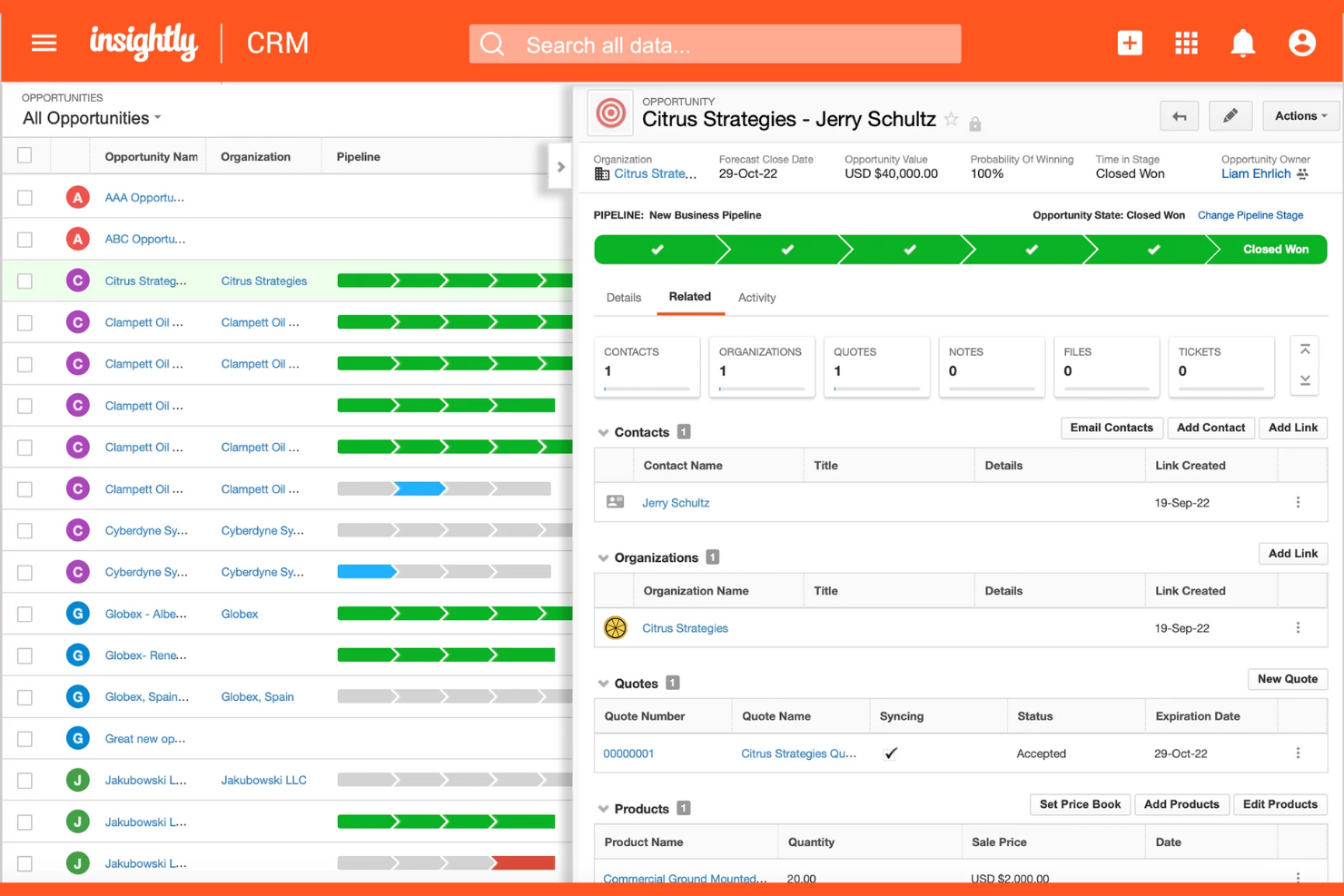 Insightly screenshot - 10 mejores alternativas a HubSpot CRM para 2026