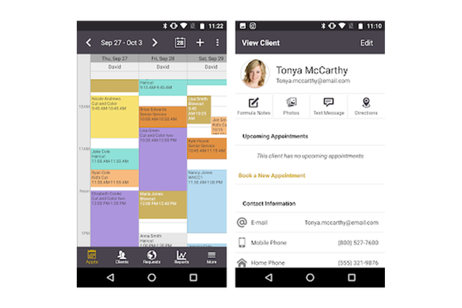 Salon Iris screenshot - I 10 migliori software POS per spa recensiti nel 2026