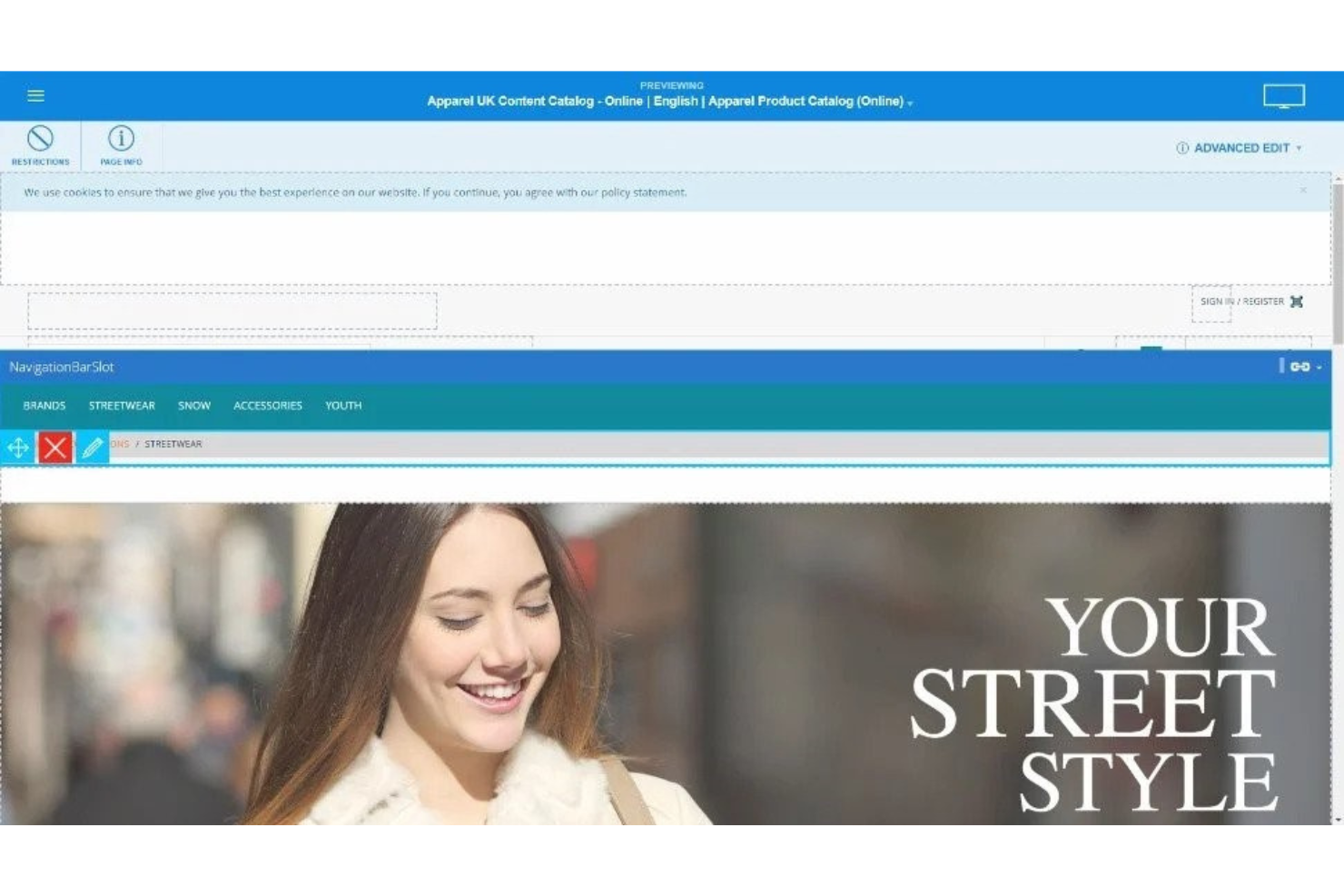 SAP Commerce Cloud screenshot - 10 Mejores Plataformas de Comercio Omnicanal para 2026
