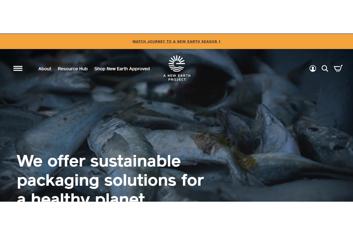 A New Earth Project screenshot - 10 migliori produttori di imballaggi sostenibili nel 2026