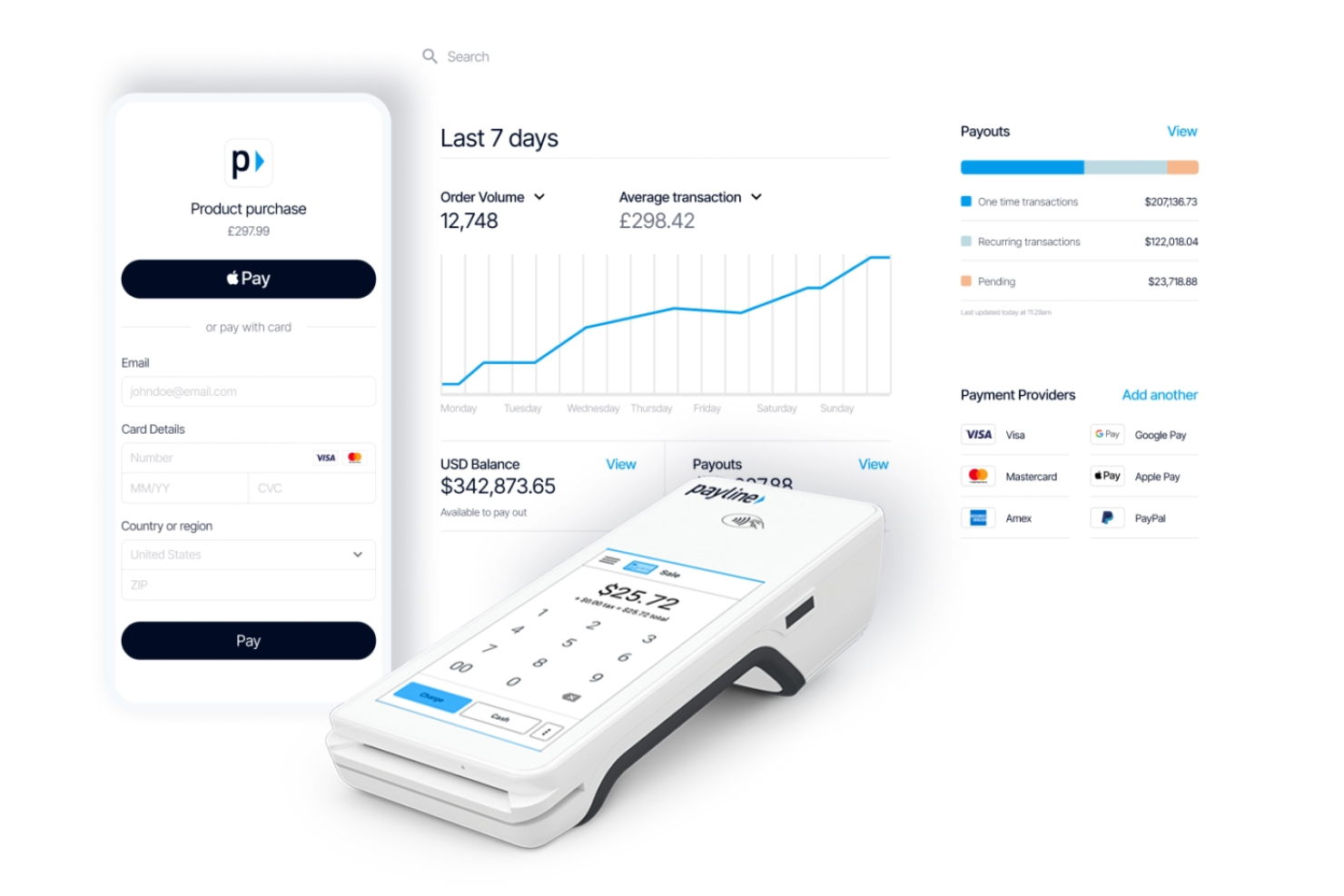 Payline Data screenshot - 10 Mejores Alternativas a Payoneer Analizadas en 2026