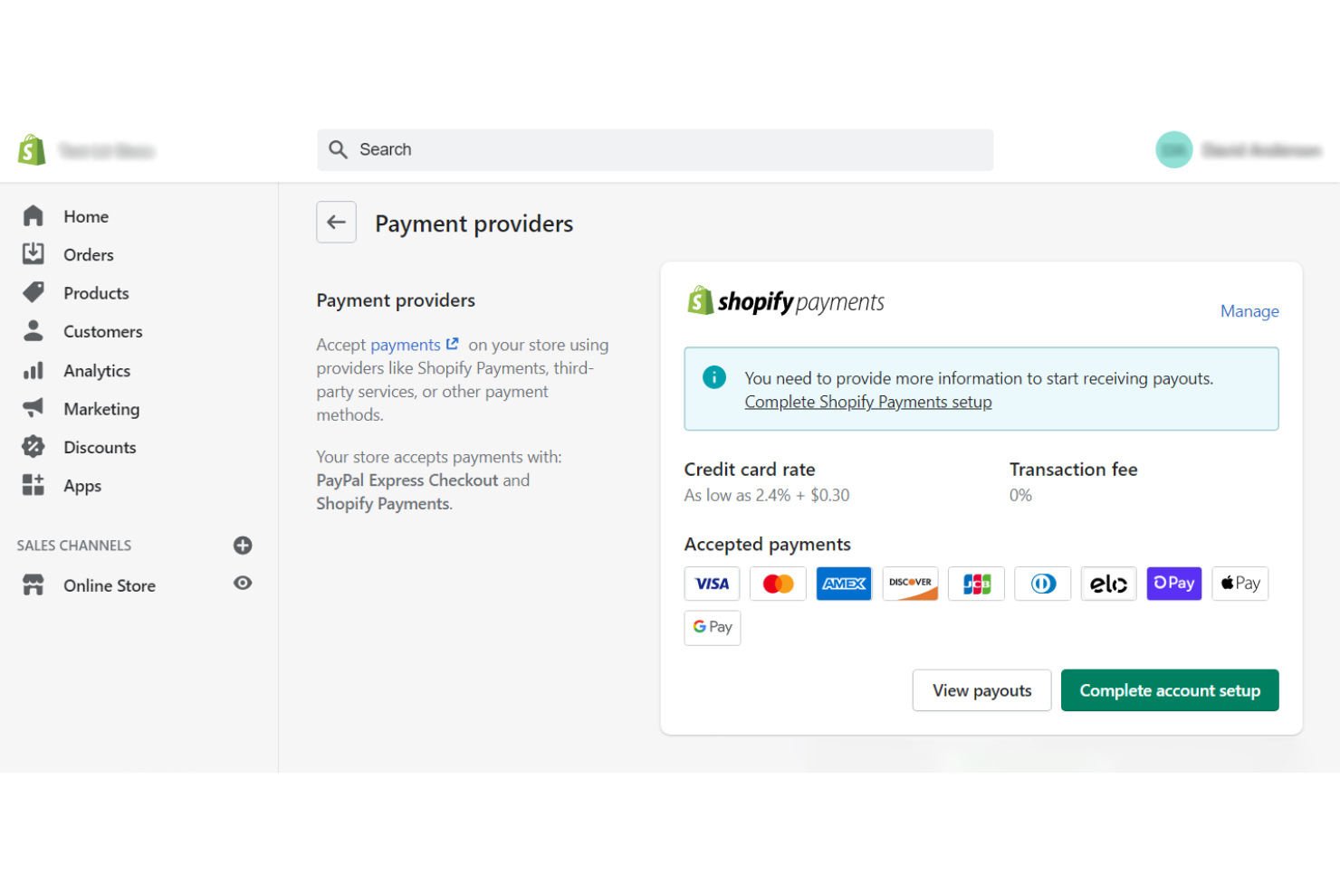 Shopify Payments screenshot - De 10 beste internationale betalingsgateways gerangschikt voor 2026