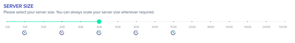 Cloudways Server Size Screenshot