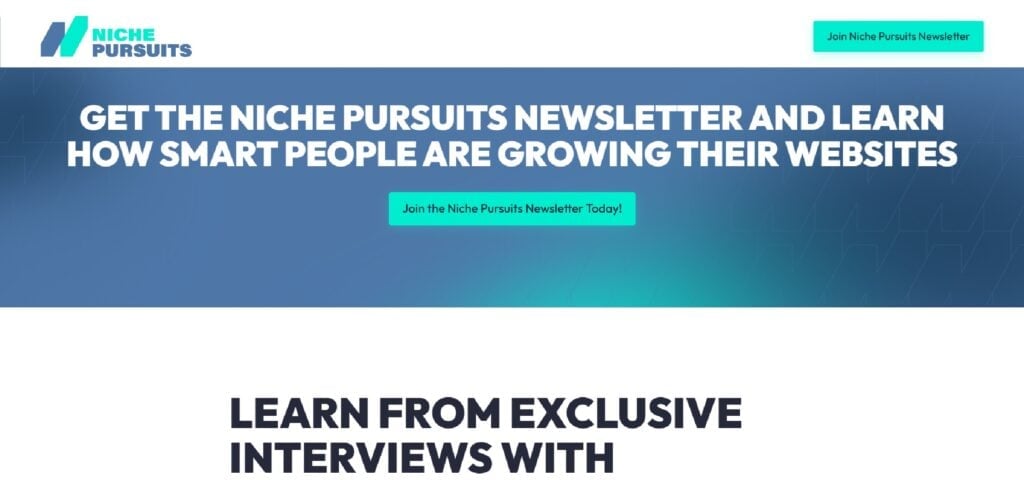 The Niche Pursuit newsletter subscription page