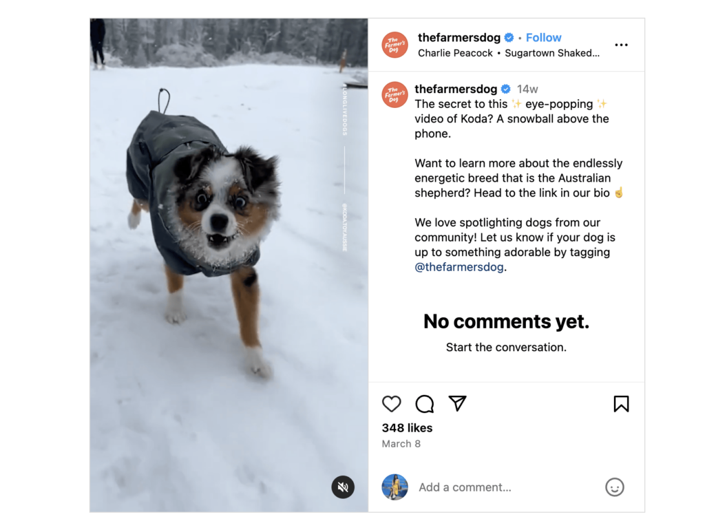 farmers dog instagram post ecommerce customer experience