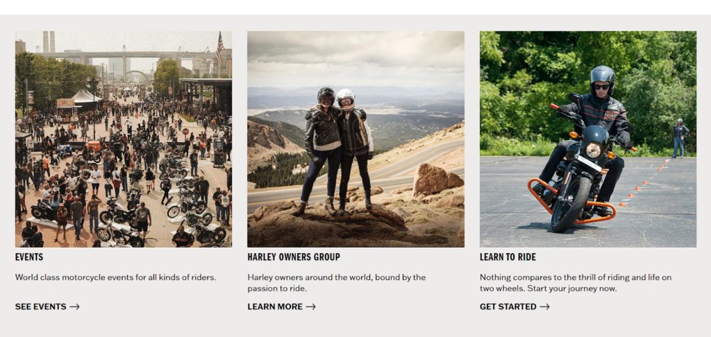 harley davidson market segmentation screenshot