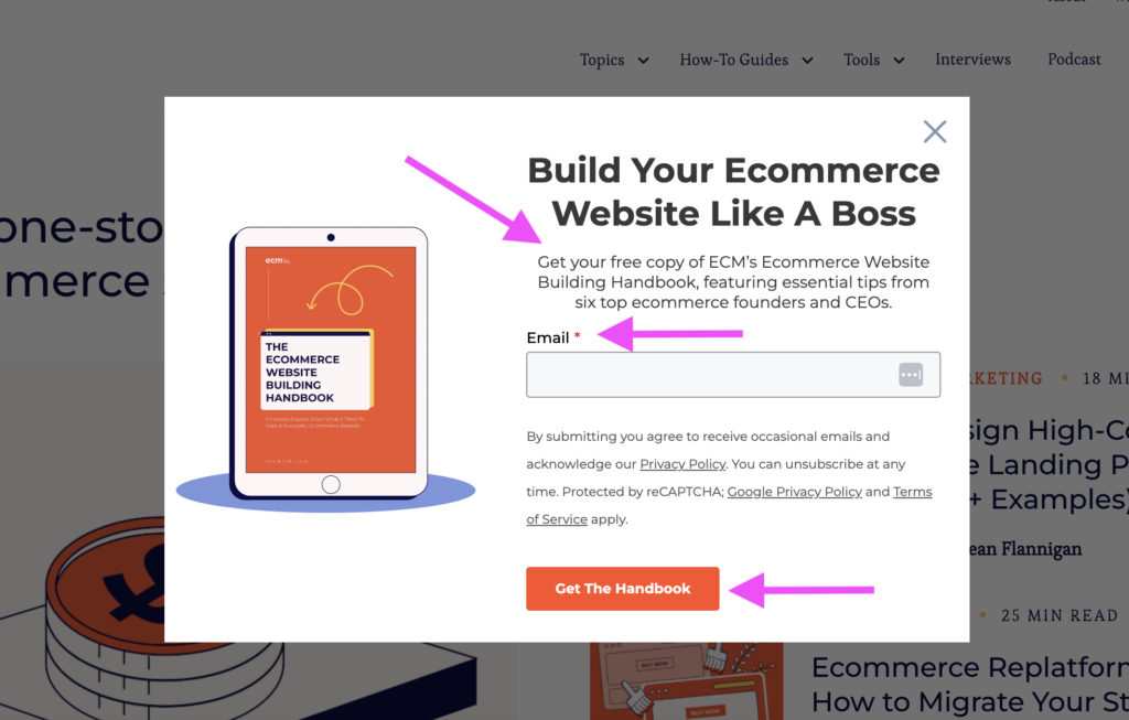 the ecomm manager lead magnet screenshot